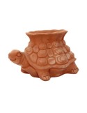 Open Terracotta Turtle